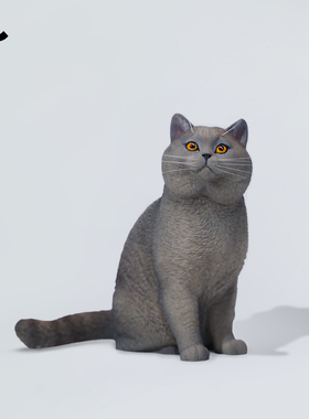 JXK 仿真蓝猫摆件英国短毛小猫咪周边玩偶雕像手办模型公仔礼物