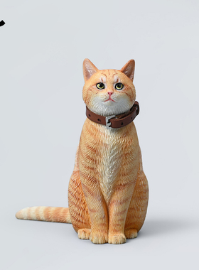 JXK家猫田园橘猫咪仿真模型手办狸花简州猫周边玩具微缩摆件玩偶