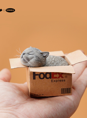 JXKsmall快递猫模型公仔仿真宠物小猫咪蓝猫手办迷你微缩摆件礼物