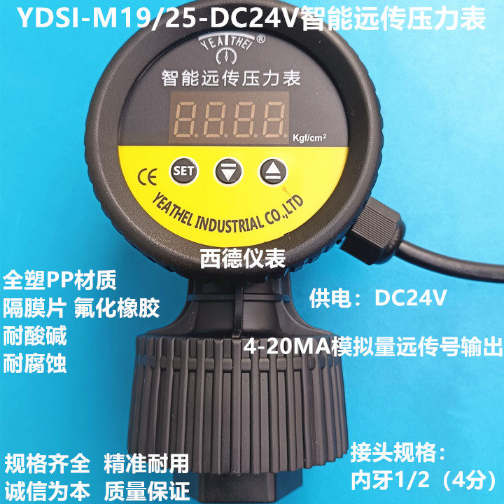 雅德YDSI-M19/25-DC24V智能远传压力表 全PP耐酸碱远传隔膜压力表
