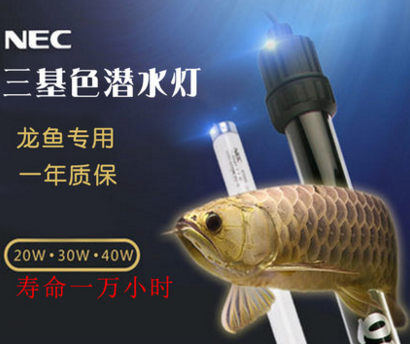 NEC水中灯龙鱼灯盘 三湖鱼L照明器材