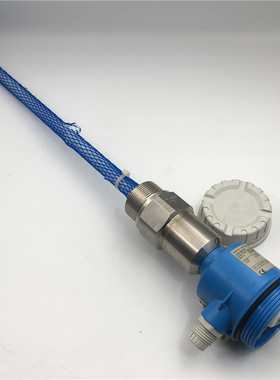 Endress+Hauser探头FEI50H FMI51-N1BGGJB2A1A成色新 实物图 现货