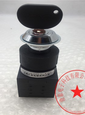 天逸TAYEE钥匙型凸轮选择开关LW42A2YC-41408/0F4513 库存现货