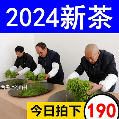 五峰毛尖茶湖北宜昌绿茶2024新茶