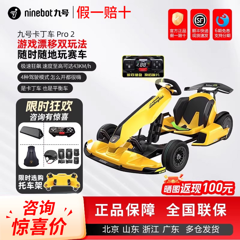 九号卡丁车PRO2儿童成人漂移赛车图片