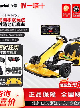九号卡丁车PRO2儿童成人漂移赛车