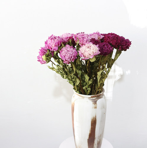 芍药天然粉色干花客厅民宿氛围感花束家居装饰品室内桌面真花摆件