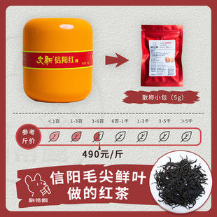 信阳红 文新 河南信阳毛尖工夫红茶叶样试喝品鉴装 单泡