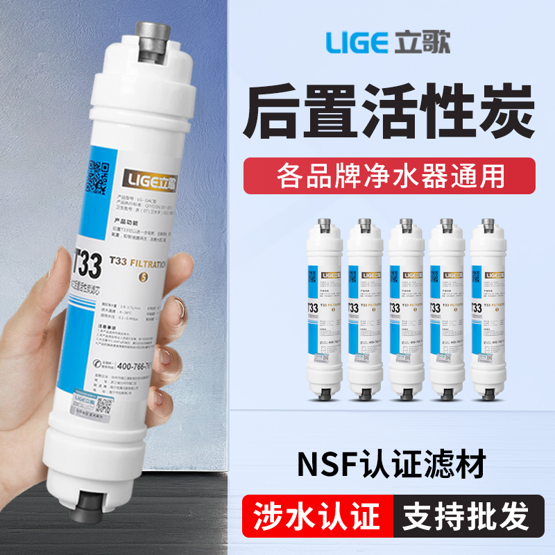 净水器大小T33后置滤芯椰壳