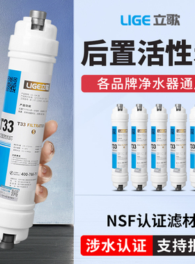 净水器大小T33后置滤芯椰壳活性炭2分3分口家用直饮水机改善口感