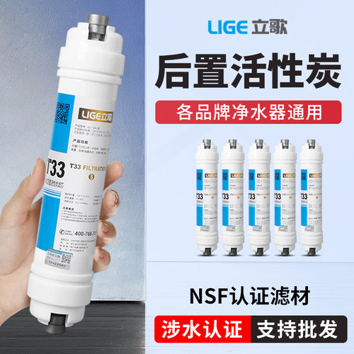 净水器大小T33后置滤芯椰壳