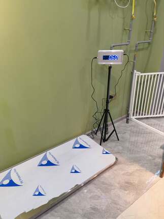 300kg大平台不锈钢宠物体重秤宠物医院动物诊所犬舍用电子体重称