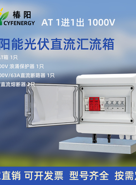 椿阳 AT1进1出1000V太阳能直流光伏汇流箱防雷熔断器IP65防护家用