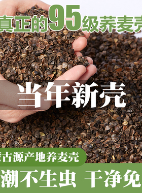 荞麦壳散装枕头单人免洗全荞麦皮填充枕芯双层纯棉布成人护颈椎枕