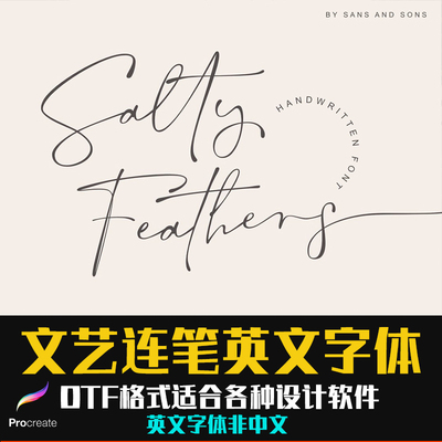Procreate文艺手写连笔英文字体钢笔个性签名logo标识字体排版