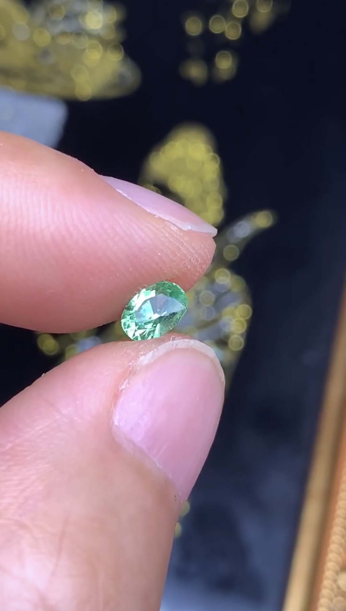 海外矿区捡漏 0.67克拉 阿鲁沙新矿沙弗莱 颜色翠绿 （1130）