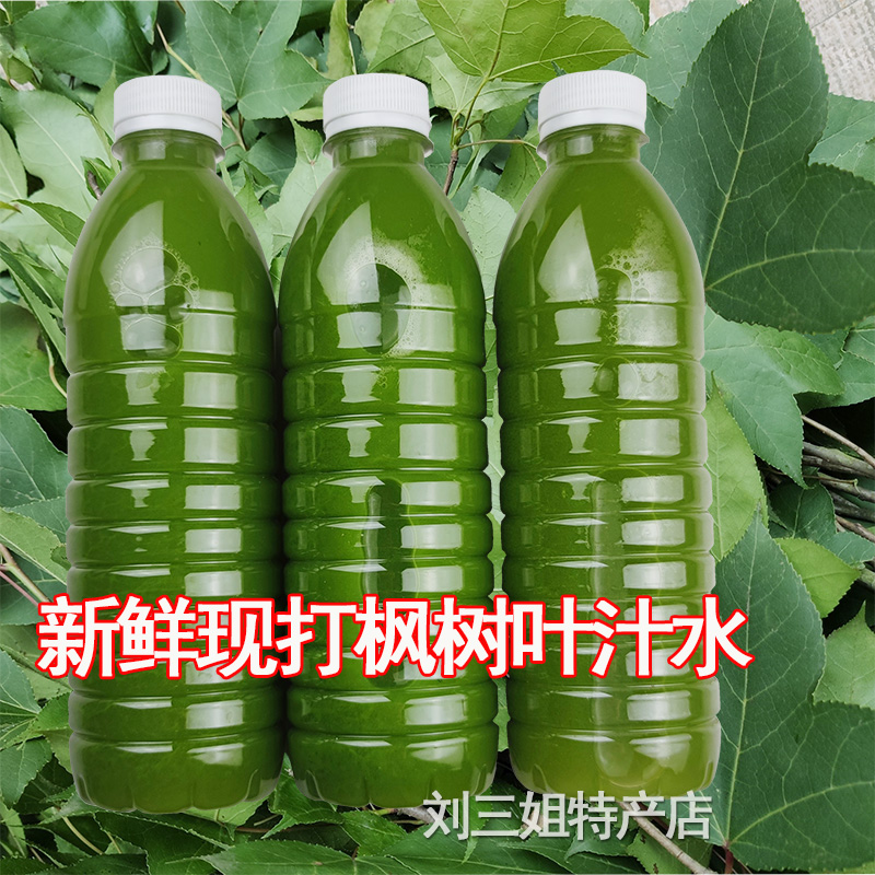 枫树叶汁水黑色新鲜广西三月三花米清明香枫叶五色糯米饭植物染料
