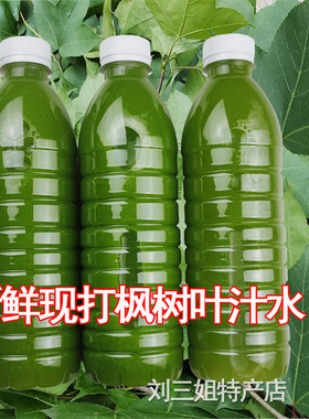 新鲜枫树叶汁水黑色广西三月三花米清明香枫叶五色糯米饭植物染料