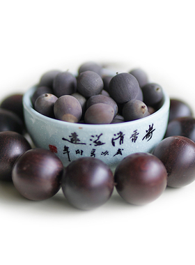 周劲松精品正品5粒开口家庭阳窗露台盆栽碗莲花种籽子