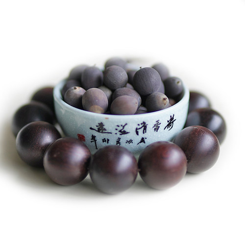 非栽培季节周劲松精选碗莲种子籽