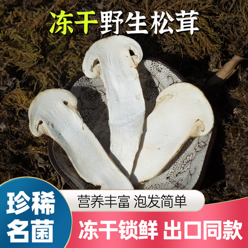 冻干野生松茸干片新鲜香味浓郁