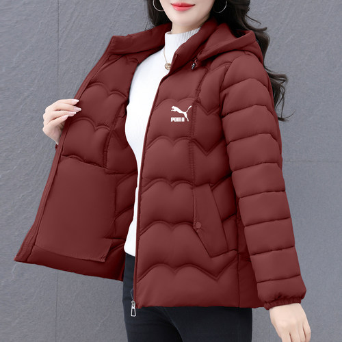 奥莱专柜丨连帽棉服外套女