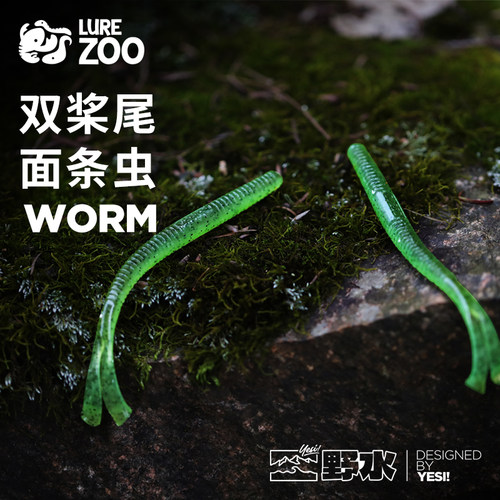野水双桨尾面条虫软虫