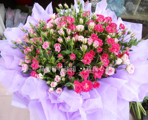 昆明花店昆明鲜花速递 纯洁祝福 粉红蔷薇花 清新鲜花