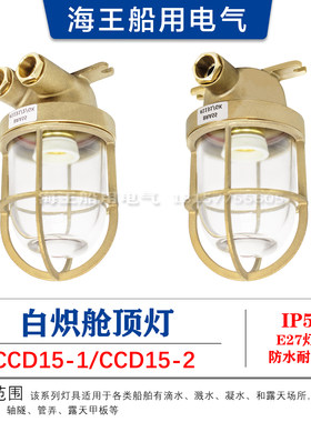 船用铜质白炽舱顶灯CCD15-1/2走道货仓舱室照明吸顶灯甲板灯60W