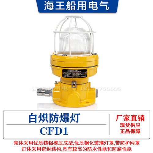 船用优质白炽LED防爆灯