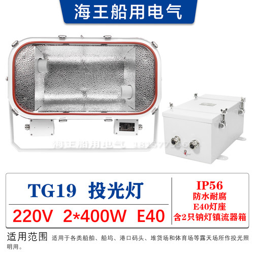 船用铝质卤钨户外防水泛光投光灯 TG19 双灯管双泡钠灯400W E40