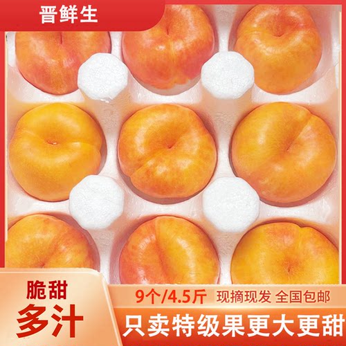 彩虹油蟠桃现摘包邮只发特级果