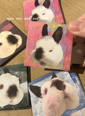 猫头但是鹰兔兔迷你便签纸5x5便签留言便签