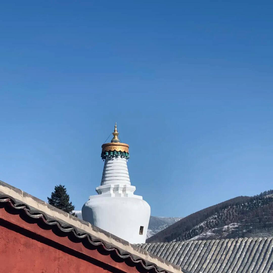 石家庄到五台山一日游大巴车