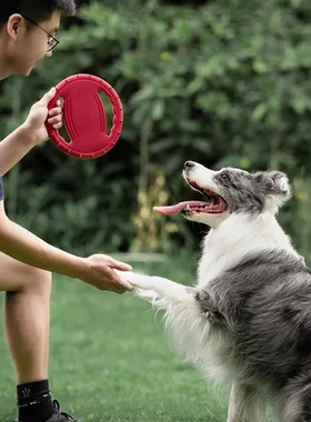 发泡训练狗狗互动方向盘可浮水宠物TPR狗狗玩具Meianju软飞盘材质