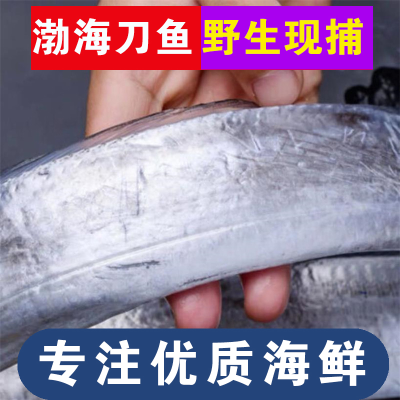 大连海鲜渤海湾刀鱼小眼带鱼顺丰发货
