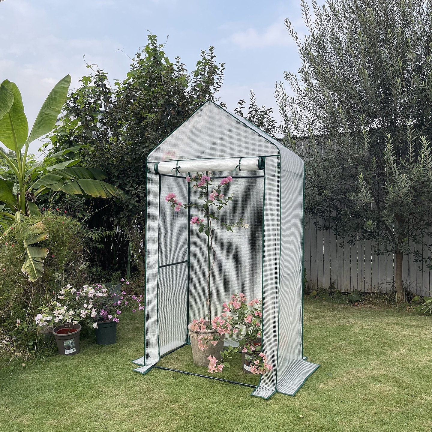 家用温室大棚植物花卉三角梅冬季保温房多肉保温棚阳台庭院花暖房