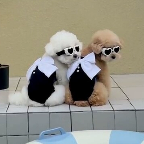 Эластичный купальник, жилет с бантиком, в стиле Шанель