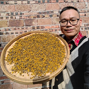 广东连南瑶山野菊花 手工天然野生菊花茶