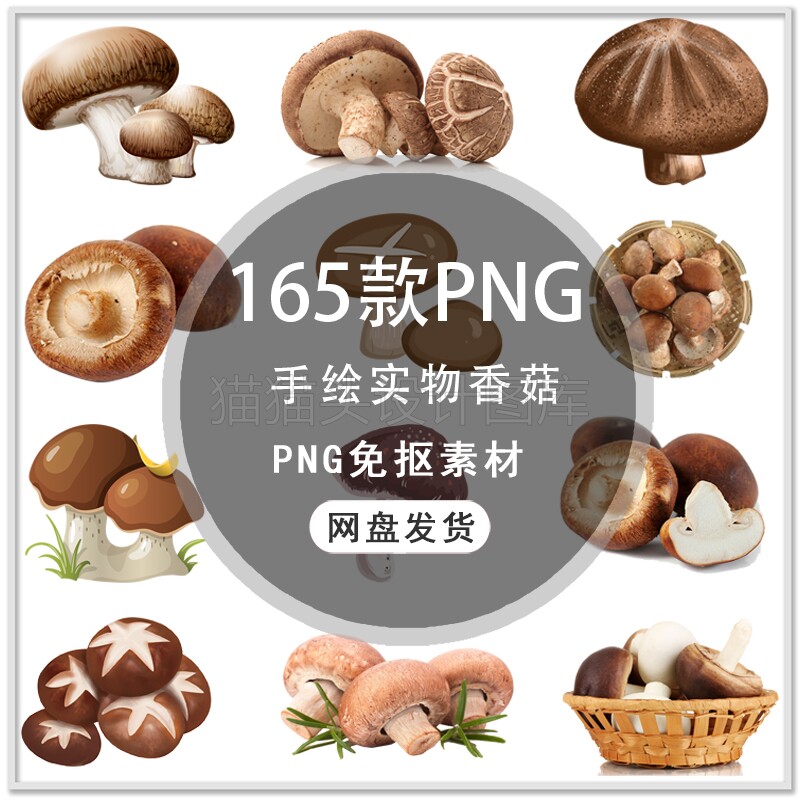 手绘蘑菇香菇菌类实物蔬菜蘑菇香菇蔬菜海报图片png设计素材
