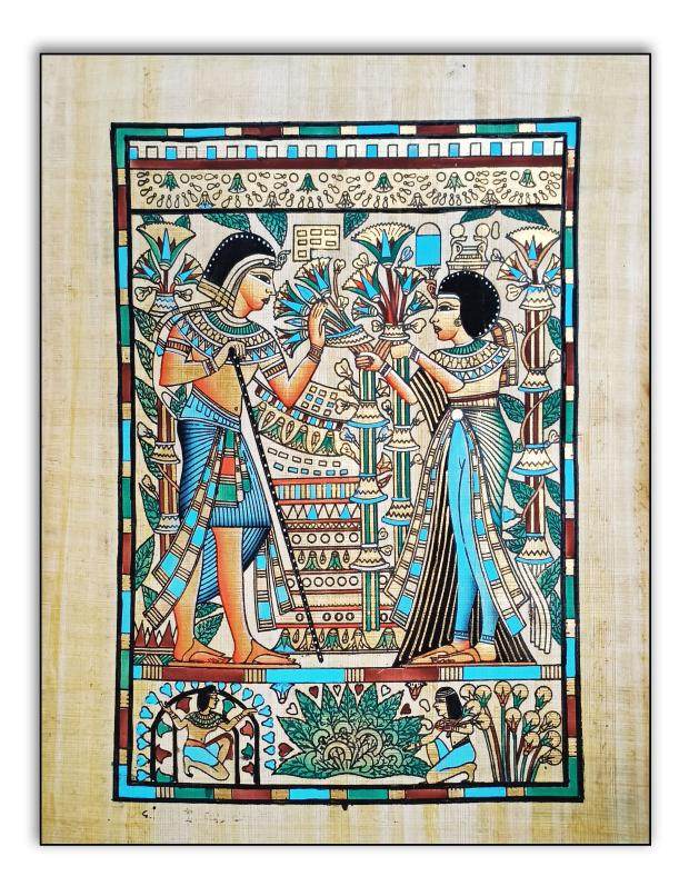 a多款式选择 埃及进口旅游纪念品花鸟植物人物莎草纸客厅装饰画