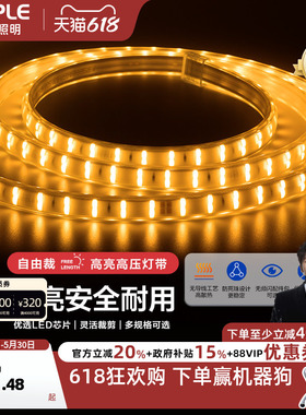 欧普灯带led霓虹灯条线灯客厅吊顶装饰贴片亮光带无主灯恒星220v