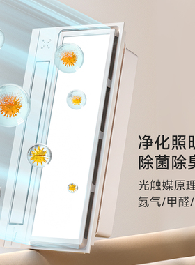 欧普照明抱抱暖摆风浴霸浴室排气扇DB