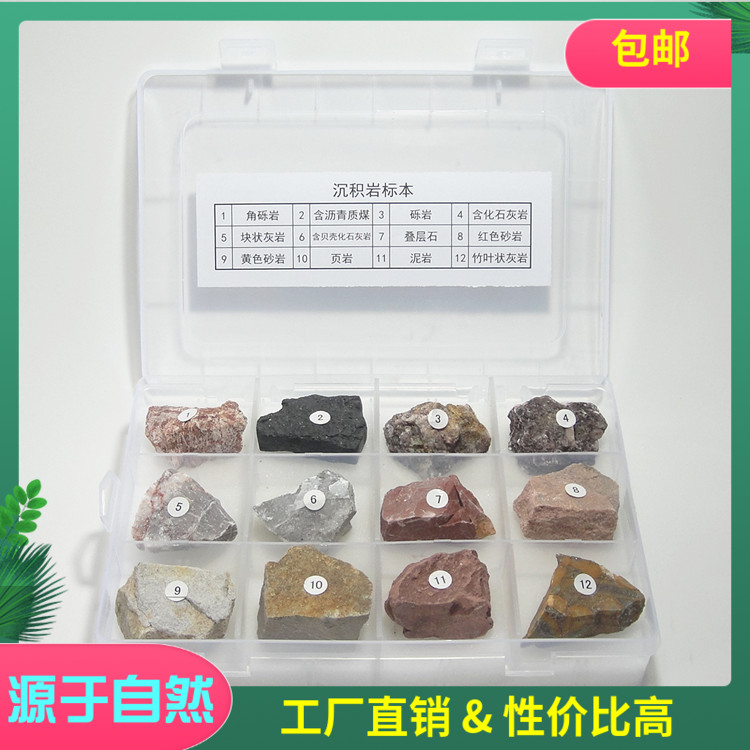 超值12种不同的沉积岩标本 岩石标本 原矿原石典型标本 收藏石头