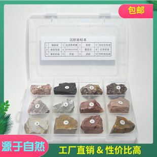 超值12种不同的沉积岩标本 岩石标本 原矿原石典型标本 收藏石头