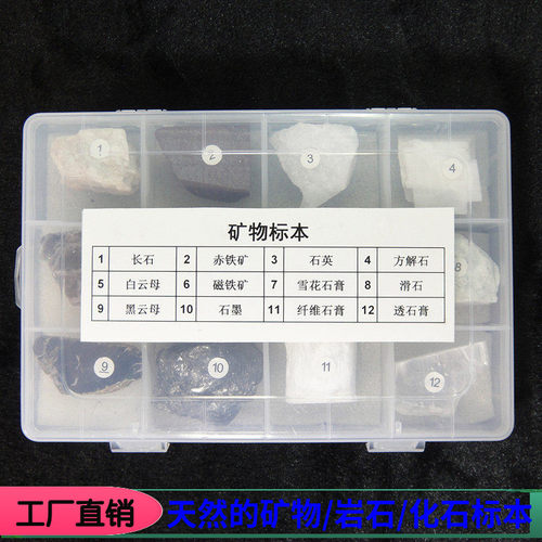 常见12种矿物标本套装 矿石标本盒装 入门初学者石头爱好者适用