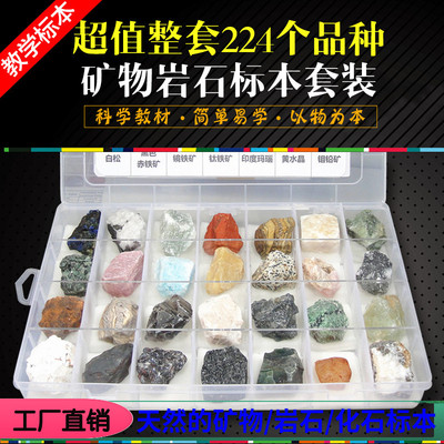 包邮推荐精品矿物标本套装 8盒224种矿物岩石标本 石头收藏盒礼物