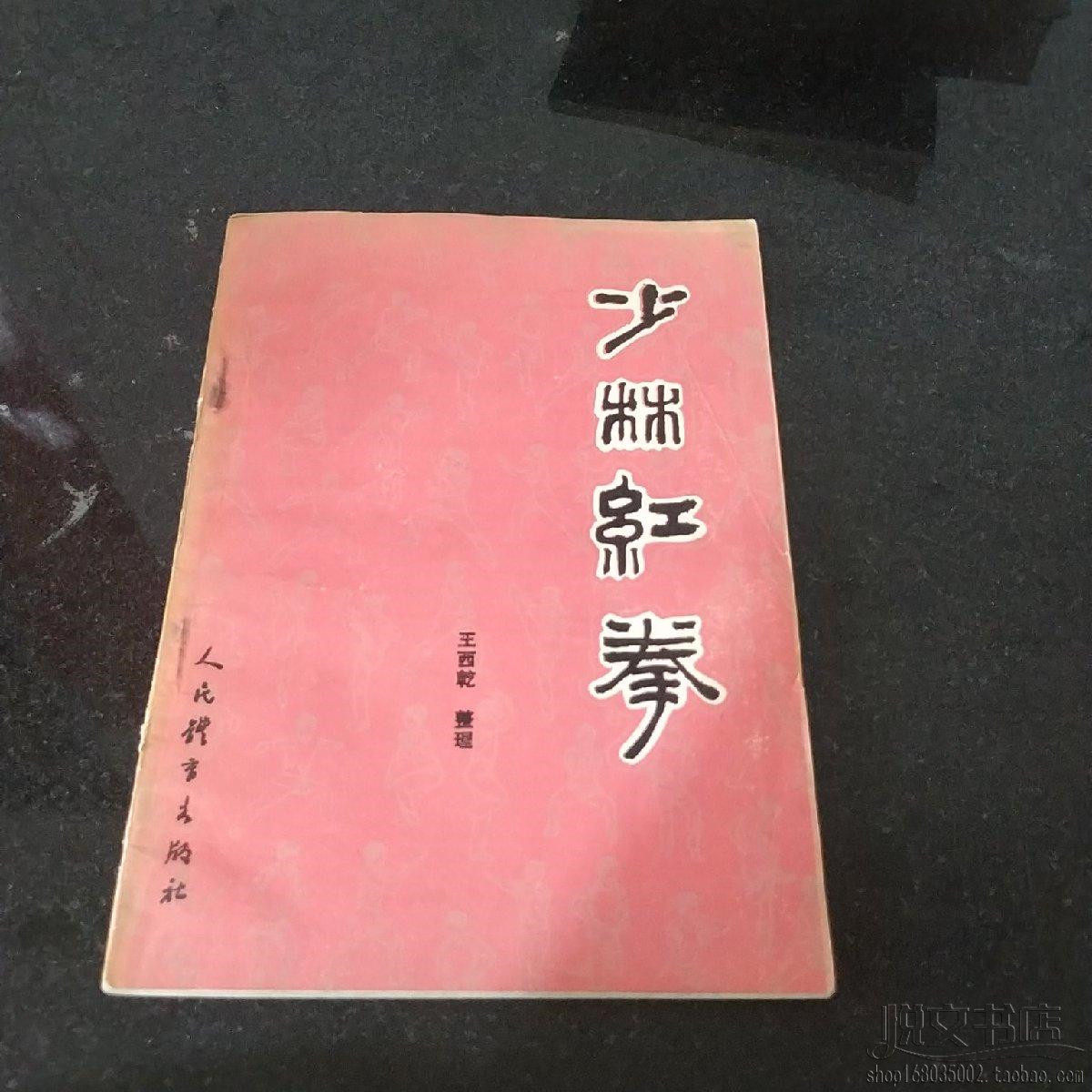 少林红拳大小洪拳动作名称图解线路示意图传统武术功夫原版二手书