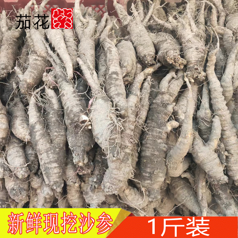 现挖新鲜食用带皮北沙参山胡萝卜山地瓜轮叶党参拌沙参泡菜食材