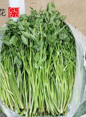 鲜嫩味足韩料食材生拌炒食皆宜